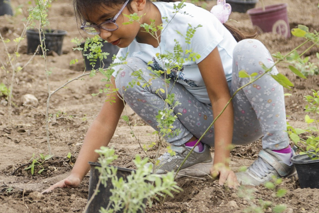A girl planting